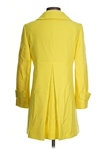 Ann Taylor Raincoat (view 2)