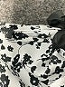 Unbranded Animal Print Silver Short Sleeve Blouse Size XL (estimated) - photo 7