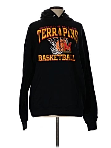 Champion Sweatshirt (view 1)