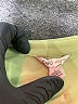 Cato Green 3/4 Sleeve Blouse Size L - photo 3