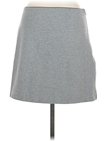 Everlane Casual Skirt (view 2)