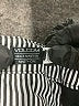 Volcom Solid Black Shorts Size 00 - photo 3