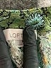 Ann Taylor LOFT Paisley Green Short Sleeve Blouse Size L - photo 7