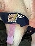 Lands' End 100% Polyester Tie-dye White Purple Zip Up Hoodie Size XL (kids) - photo 3