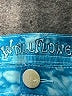 Wallflower Tie-dye Blue Shorts Size 5 - photo 3