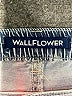 Wallflower Blue Denim Shorts Size 5 - photo 3