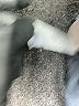 Assorted Brands Solid Blue Jeans Size 7 - photo 9