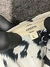 Entro Animal Print Ivory Jumpsuit Size L - photo 4