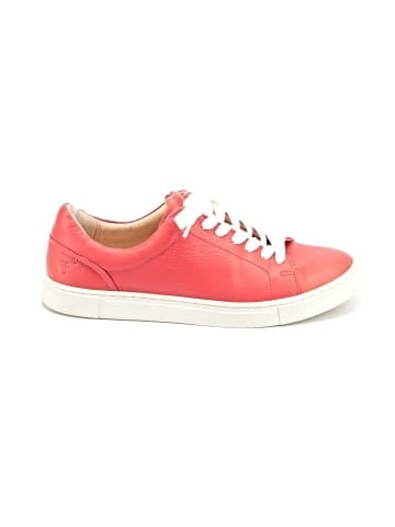 FRYE Sneakers (view 1)