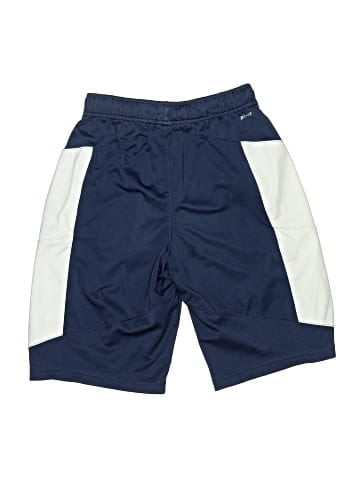 Nike Athletic Shorts (view 2)