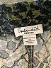 Splendid 100% Rayon Print Blue Casual Pants Size M - photo 7