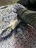 Eddie Bauer Print Blue Short Sleeve Blouse Size M - photo 8