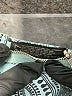 BLEULAB Paisley Teal Casual Pants Size 27 waist - photo 8