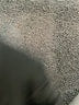 Unbranded Solid Silver Active T-Shirt Size M - photo 7