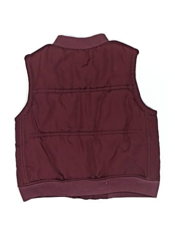 Gymboree Vest (view 2)