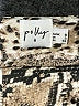 Polly Animal Print Tan Casual Skirt Size 0 - photo 4