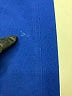 Chico's Solid Blue Active Pants Size 10 - photo 3