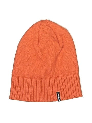 Patagonia Beanie (view 1)