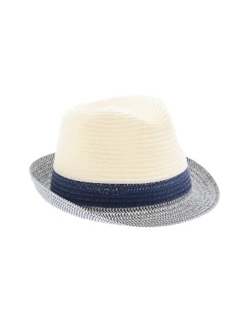 Unbranded Fedora (view 1)
