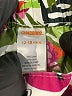 Gymboree 100% Cotton Tropical Green Shorts Size 12-18 mo - photo 3