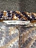 Nine West Print Blue Shorts Size S - photo 3