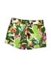 Gymboree 100% Cotton Tropical Green Shorts Size 12-18 mo - photo 2