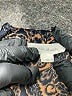 Painted Threads Paisley Brown Formal Skirt Size M - photo 4