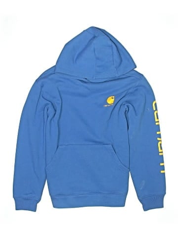 Carhartt Pullover Hoodie (view 1)