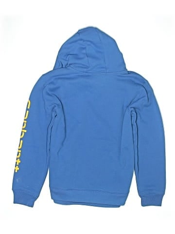 Carhartt Pullover Hoodie (view 2)