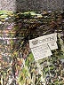 Worth Tweed Green Long Sleeve Blouse Size 12 - photo 7