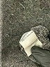 BLOOMCHIC Chevron-herringbone Gray Casual Dress Size 14 - photo 8