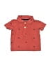 Carter's 100% Cotton Orange Short Sleeve Button-Down Shirt 0-3 MO / 3 MO - photo 1