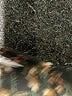 Assorted Brands 100% Polyester Animal Print Black Cocktail Dress Size XL - photo 7
