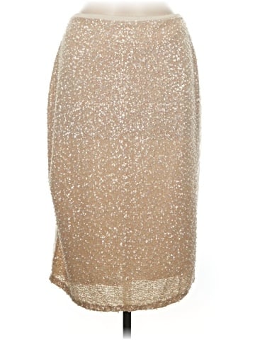 Zara Formal Skirt (view 1)