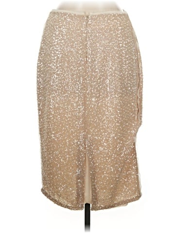Zara Formal Skirt (view 2)