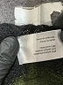 Pam & Gela Metallic Green Pullover Sweater Size M - photo 8