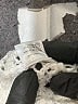 Central Park West 100% Cotton White Pullover Sweater Size S - photo 8