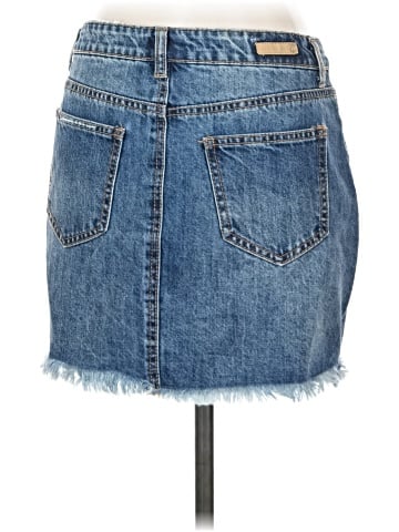 True Craft Denim Skirt (view 2)