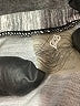 XCVI Gray Short Sleeve Top Size S - photo 7