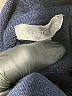 T by Talbots Color Block Gray Pullover Hoodie Size XL - photo 7