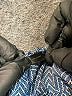 The Limited 100% Polyester Polka Dots Blue Long Sleeve Blouse Size XL - photo 8