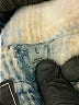 Bagatelle Plaid Blue Coat Size L - photo 7