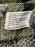 Knox Rose Camo Green Cardigan Size M - photo 8