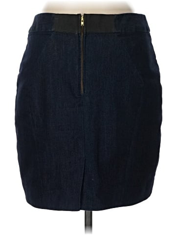 Leifsdottir Denim Skirt (view 2)