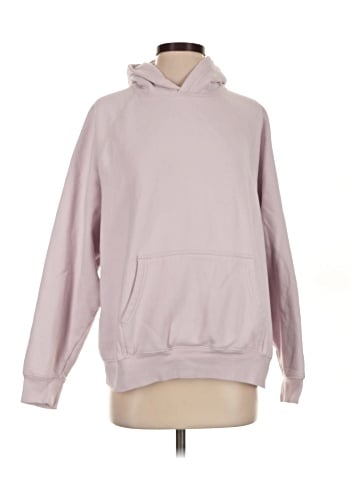 Aritzia Pullover Hoodie (view 1)