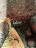 Bebop 100% Rayon Solid Green Shorts Size M - photo 3