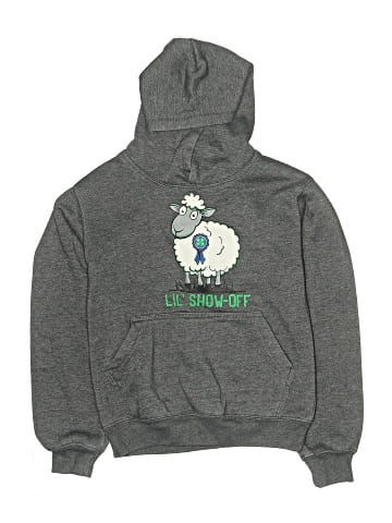 Liberty Apparel Pullover Hoodie (view 1)