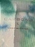 Carbon38 Tie-dye Green Athletic Shorts Size L - photo 3