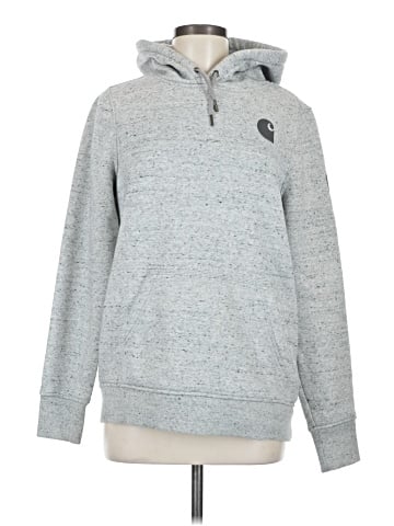 Carhartt Pullover Hoodie (view 1)