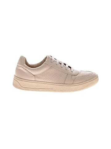 Steve Madden Sneakers (view 1)